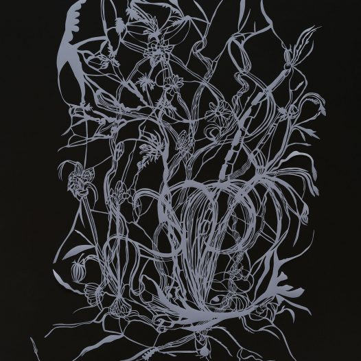 Graslilien, 2017, Papierschnitt, Pergament transparent, 83 x 59,6 cm
