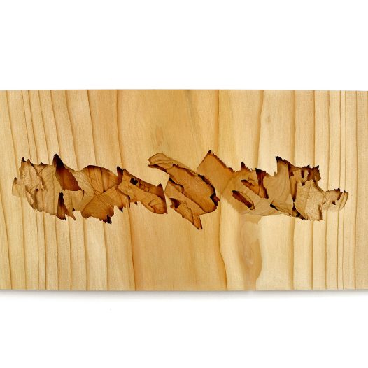 Aus meinem archäologischen Tagebuch, 2023, Zeder, 42 x 8,5 x 18,5 cm