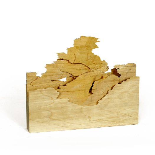 Aus meinem archäologischen Tagebuch, 2021, Pappel, 31 x 5 x 25 cm