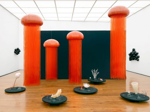 Birgitta Weimer: Installation „Am Rande des Lichts“