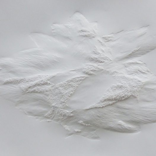 Aja von Loeper: Weißes Blatt O 20-6, 2020, 100 x 70 x 5 cm, Papier Relief