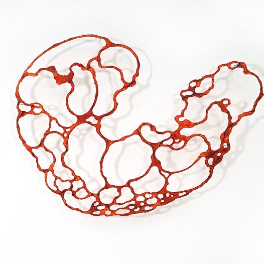 Cells 3, 2024, Kohle und Öl auf gerissenem Papier, 60 x 80 cm, VERKAUFT
