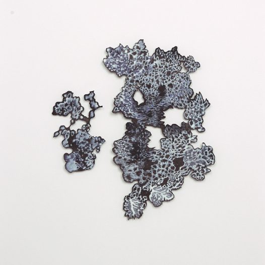 Black Rhizome, 2020, Acryl / Farbstift auf Papier, montiert auf Karton (gerahmt), 50 x 40 cm