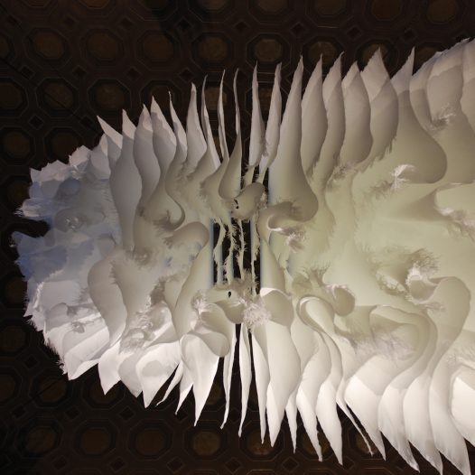 Curalium, 2011, Glasgewebe, 250 x 150 x 1000 cm