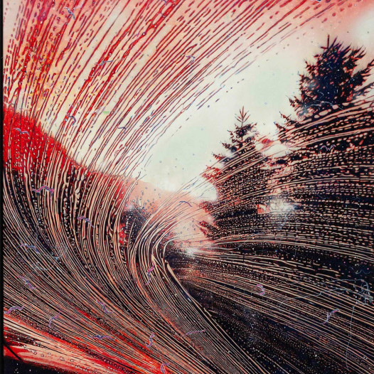 Schwarm, 2025, 200 x 140 cm, Malerei / Reliefruck auf Leinwand, € 14.500,-