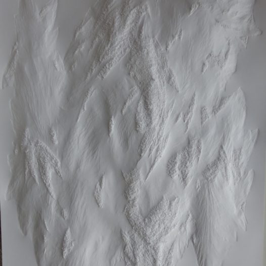 Aja von Loeper: Weißes Blatt O 20-5, 2020, 100 x 70 x 5 cm, Papier Relief