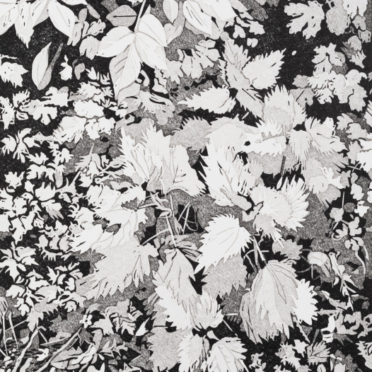 Philipp Hennevogl: Randstück, 2019, Linolschnitt,  Reduktionsschnitt, 5 Farben, Bild 23 x 16,4 cm, Papier 29,4 x 23 cm, Ed. 25