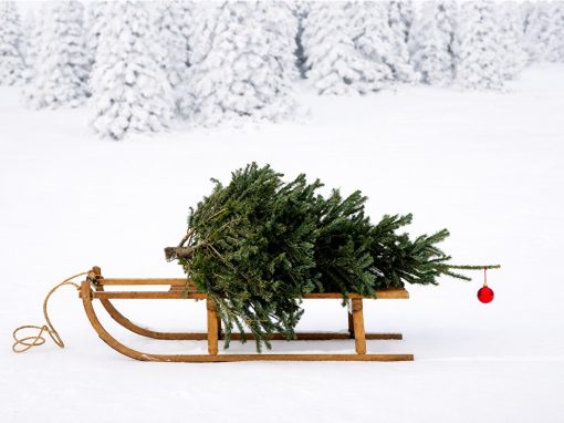 Galerie Maurer wünscht frohe Weihnachten