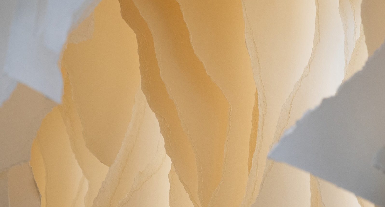 Angela Glajcar in der Albertina Wien