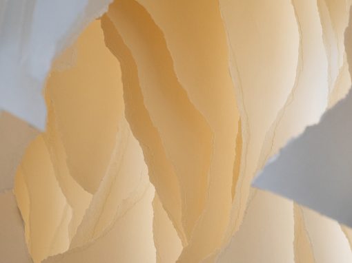 Angela Glajcar in der Albertina Wien