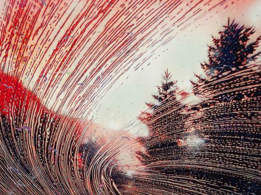 Jan Davidoff Layers of the real 2